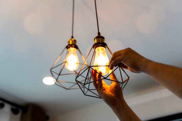 Best Electrician for Home Renovation  in Tega Cay, SC